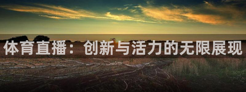 体育直播：创新与活力的无限展现
